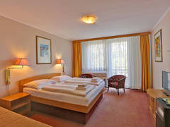Zimmerbild 13