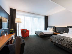 Zimmerbild 1