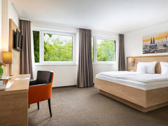 Zimmerbild 12