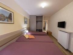 Zimmerbild 7
