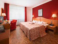 Zimmerbild 7