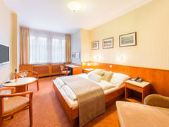 Zimmerbild 15