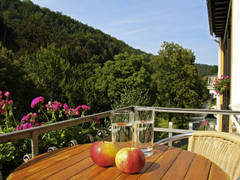 Zimmerbild 5