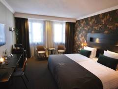 Zimmerbild 12