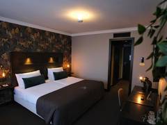 Zimmerbild 9