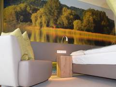 Zimmerbild 3