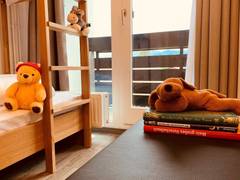 Zimmerbild 13