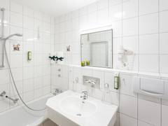 Zimmerbild 19