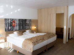 Zimmerbild 8