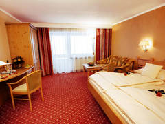 Zimmerbild 1