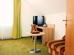 Zimmerbild 13