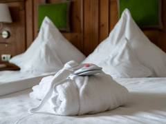 Zimmerbild 3