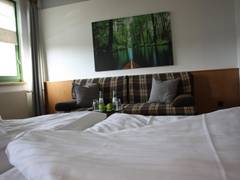 Zimmerbild 4