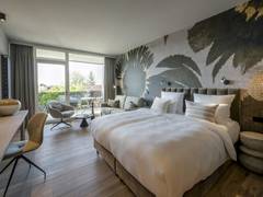 Zimmerbild 8