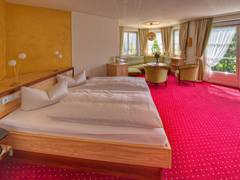 Zimmerbild 11