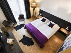 Zimmerbild 2