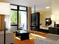 Zimmerbild 8