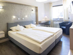 Zimmerbild 11