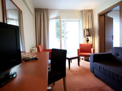 Zimmerbild 17