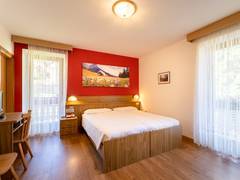 Zimmerbild 11
