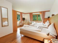 Zimmerbild 4