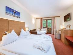 Zimmerbild 12