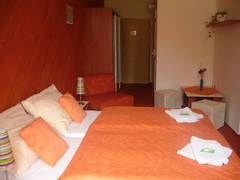 Zimmerbild 3