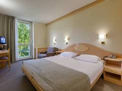 Zimmerbild 8