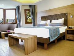 Zimmerbild 13