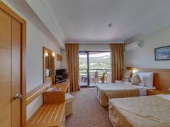 Zimmerbild 23