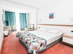 Zimmerbild 21