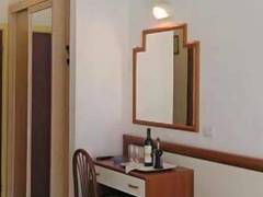 Zimmerbild 11