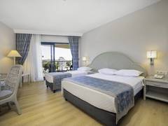 Zimmerbild 9