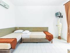 Zimmerbild 11