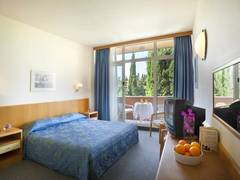 Zimmerbild 27