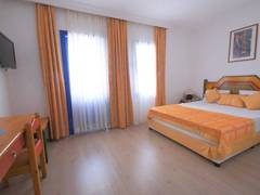 Zimmerbild 31