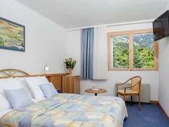 Zimmerbild 6