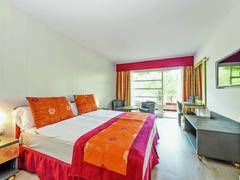 Zimmerbild 8