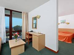 Zimmerbild 14