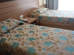 Zimmerbild 12