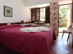 Zimmerbild 24