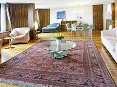 Zimmerbild 21
