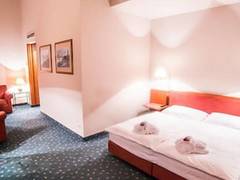 Zimmerbild 11