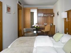Zimmerbild 21