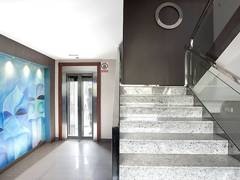 Zimmerbild 31