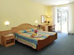 Zimmerbild 15