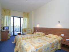 Zimmerbild 9