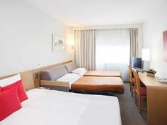 Zimmerbild 13