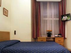 Zimmerbild 8