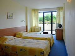 Zimmerbild 11